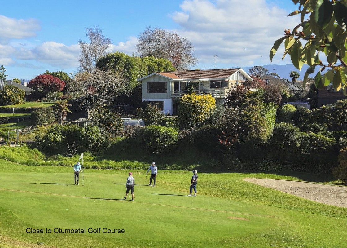 115A Chapel Street, Otumoetai, Tauranga - Carousel 19