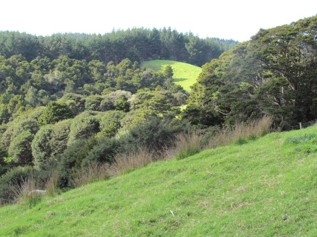 227 Mangahui Road, Whareora, Whangarei - Carousel 2