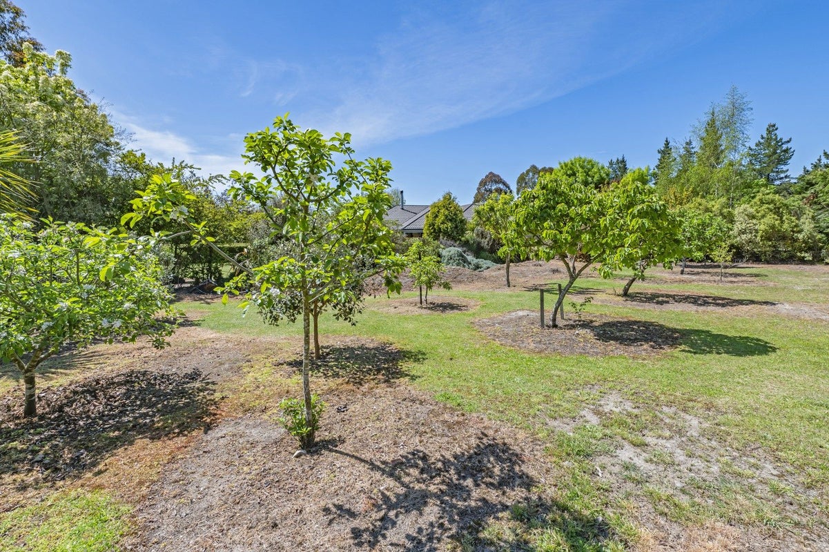 1103 Downs Road, West Eyreton, Rangiora - Carousel 50