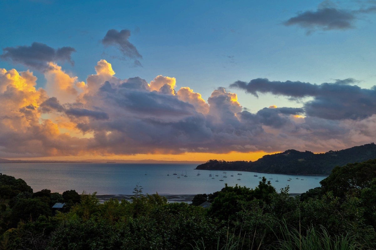 12 Makora Avenue, Oneroa, Waiheke Island - Carousel 1