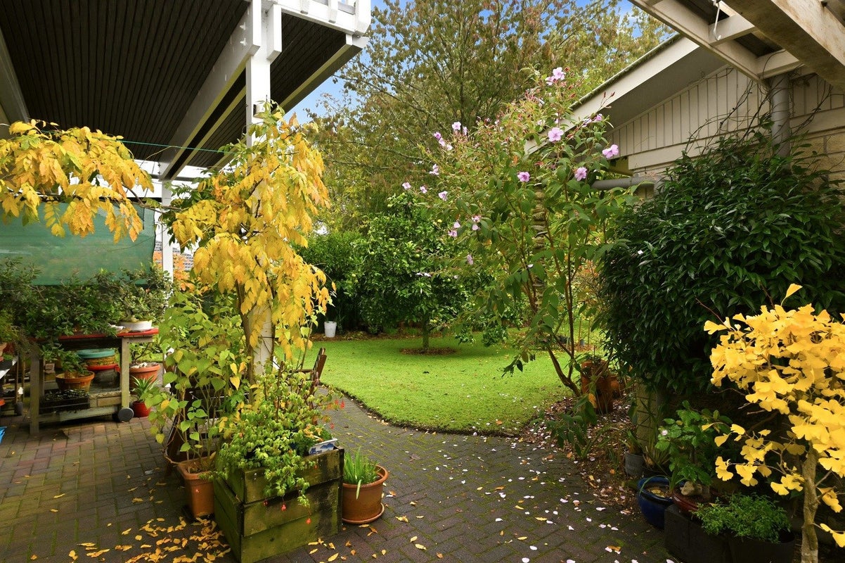 3 Solly Place, Springfield, Rotorua - Carousel 23