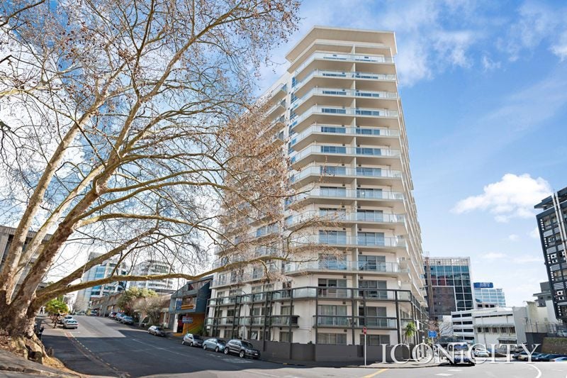 9E/2 White Street, Auckland Central, Auckland - Carousel 8