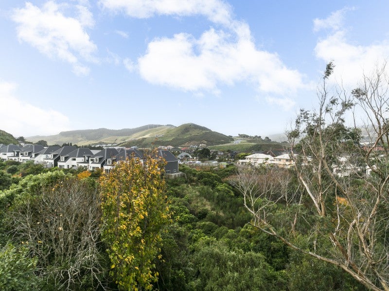 1/6 Ellwood Place, Churton Park, Wellington - Carousel 21