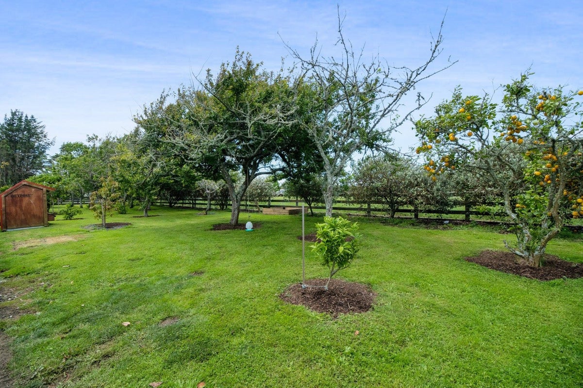 83 Brown Road, Brixton, Waitara - Carousel 50