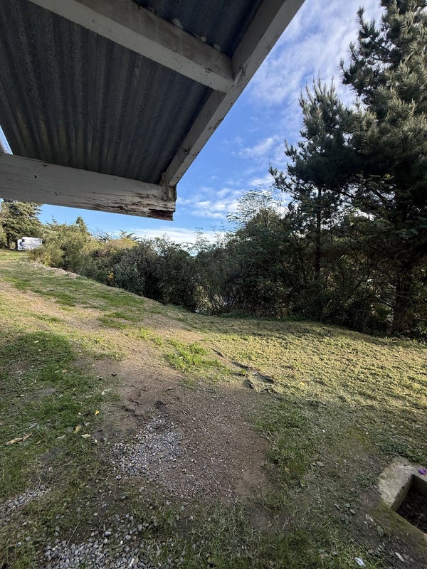 367 Ohiro Road, Brooklyn, Wellington - Carousel 12