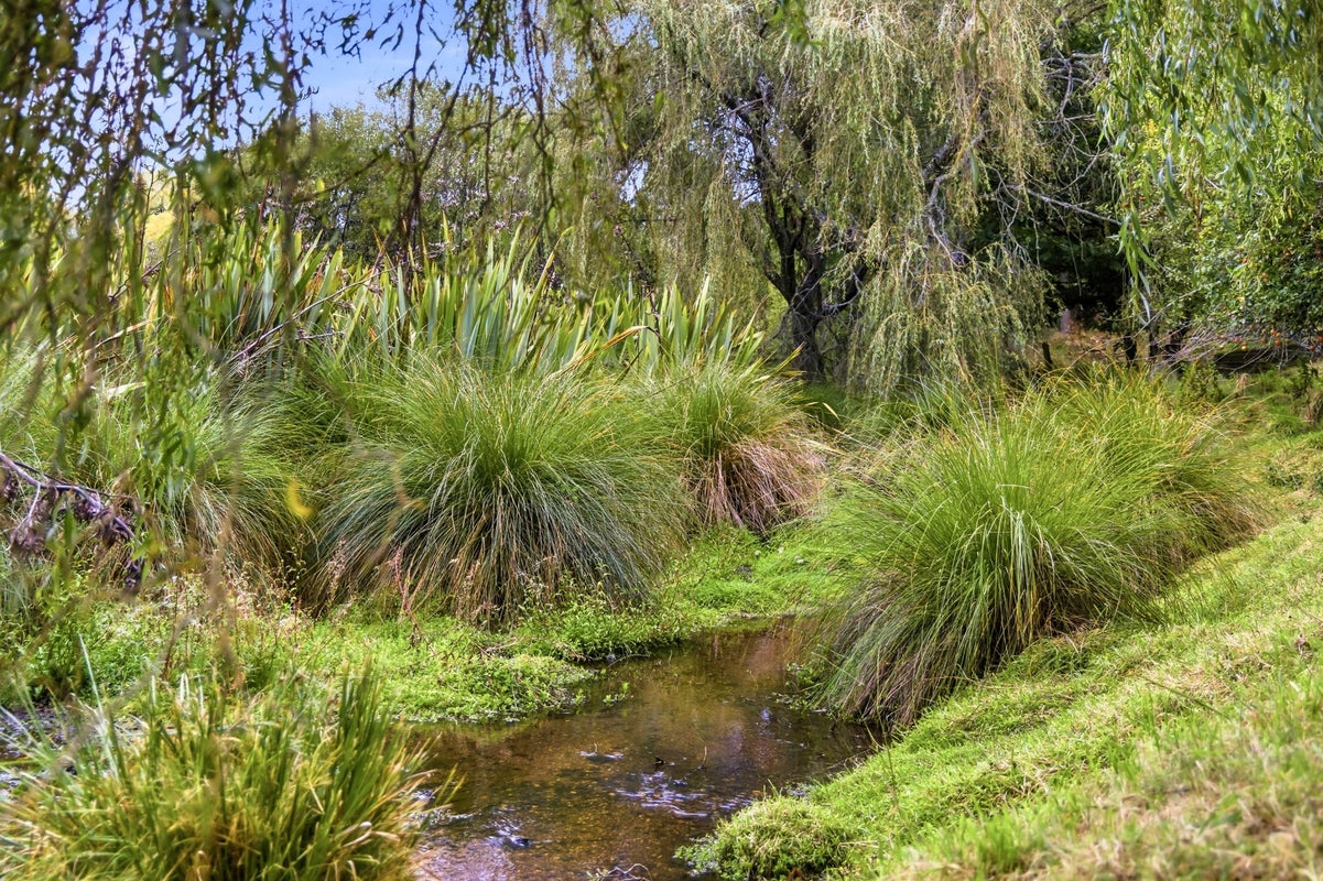 164 Oruanui Road, Wairakei, Taupo - Carousel 34