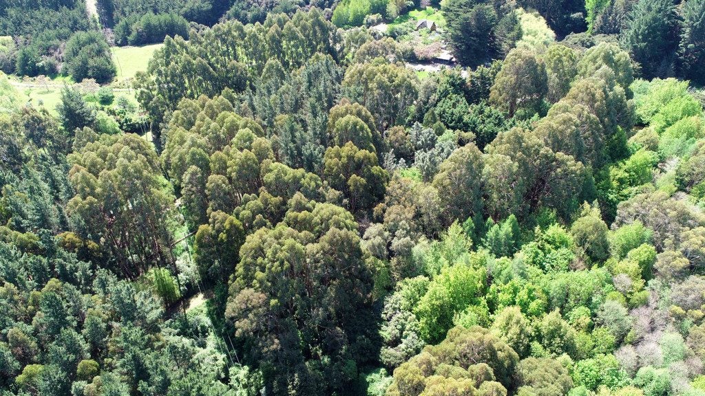 13 Okuti Valley Road, LITTLE RIVER, Little River - Carousel 40