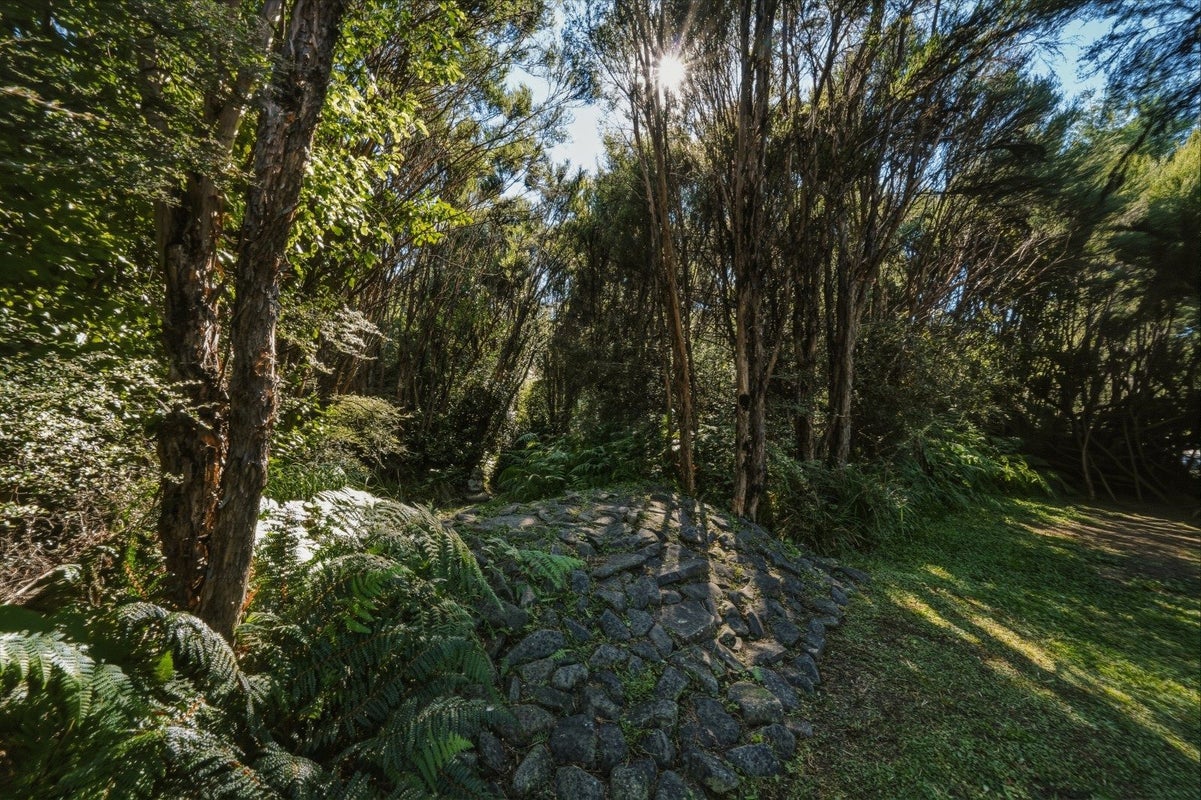 84 Mount Lyford Avenue, Lyford, Waiau - Carousel 19