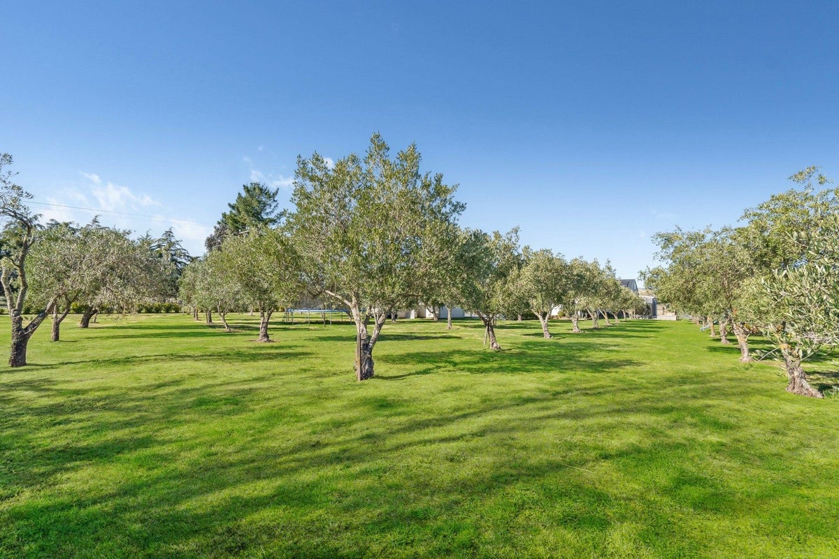 0 White Rock Road, White Rock, Martinborough - Carousel 31