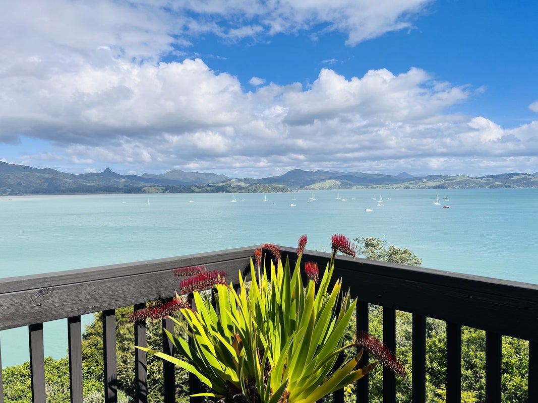 1695 Wyuna Bay Road, Wyuna Bay, Coromandel - Carousel 2