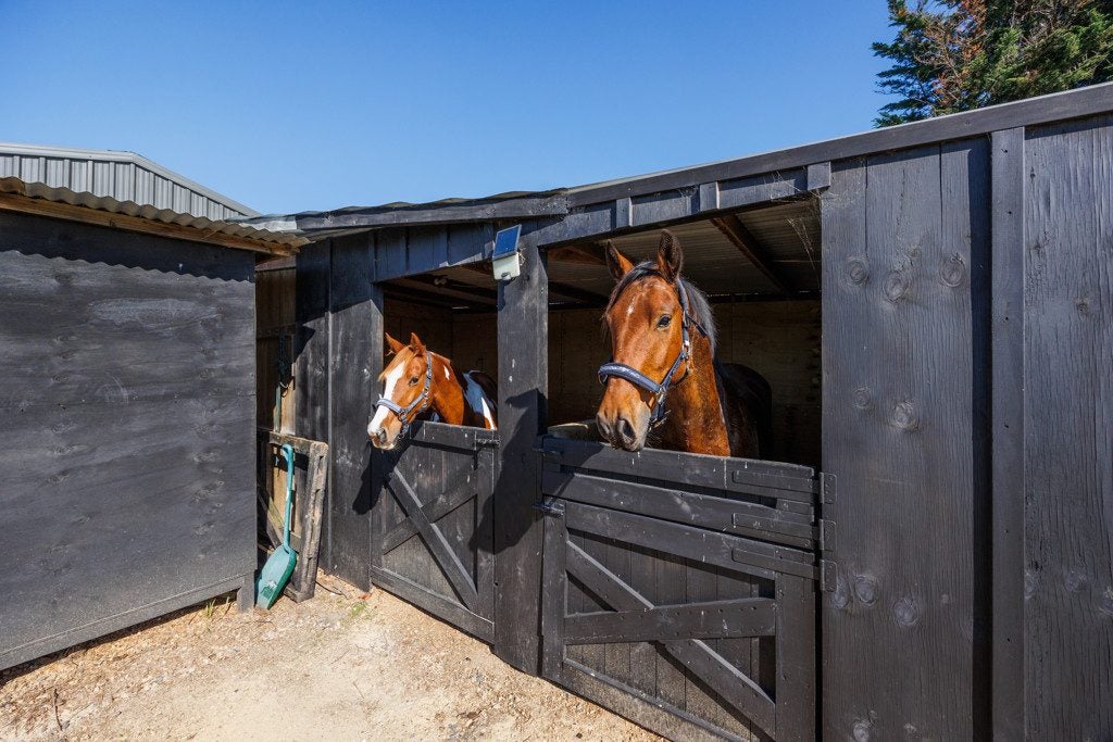 292 Kairanga Bunnythorpe Road, Bunnythorpe, Palmerston North - Carousel 2
