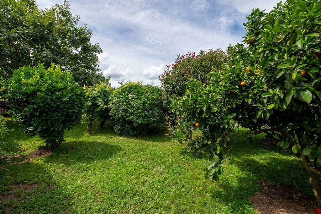 162 Rangatira Drive, Mangakino, Mangakino - Carousel 22