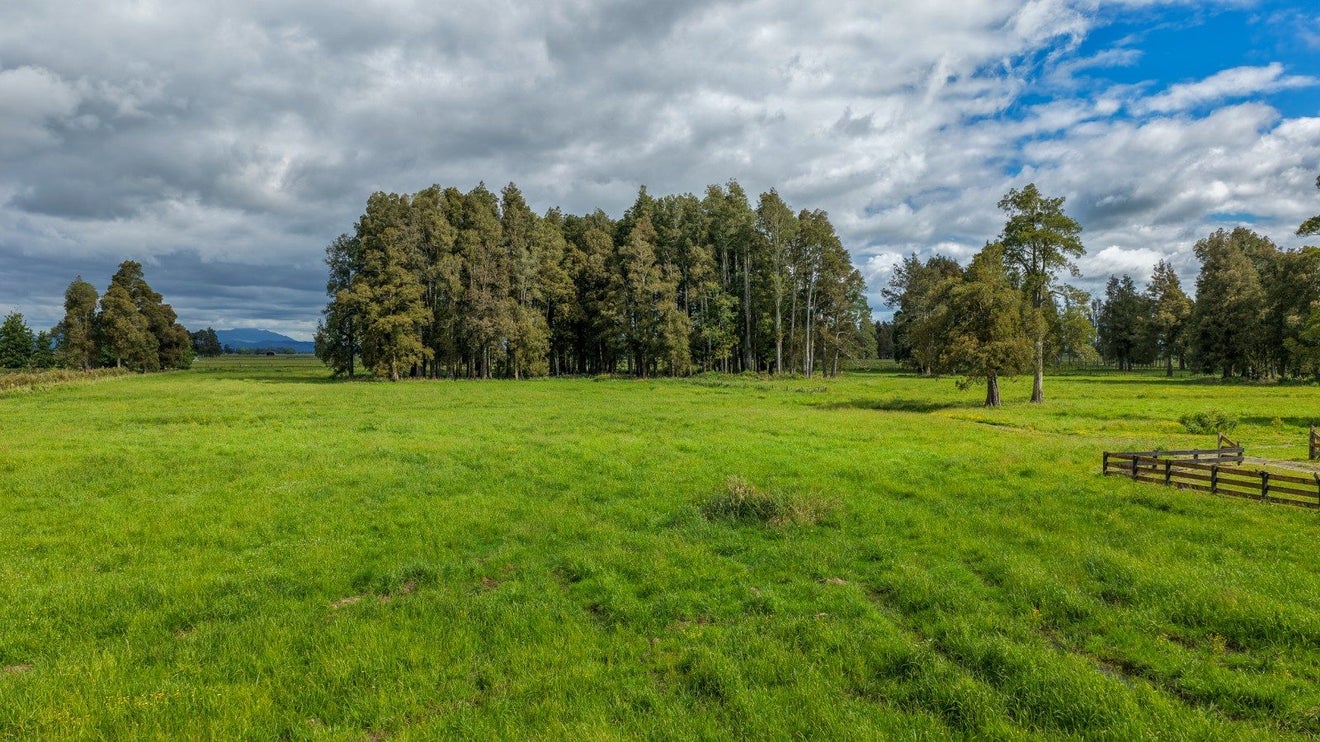 111 Piako Road, Thames - Carousel 16