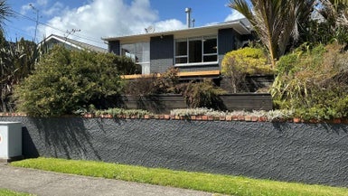 9 Selwyn Street, Lower Vogeltown, New Plymouth - Carousel 1