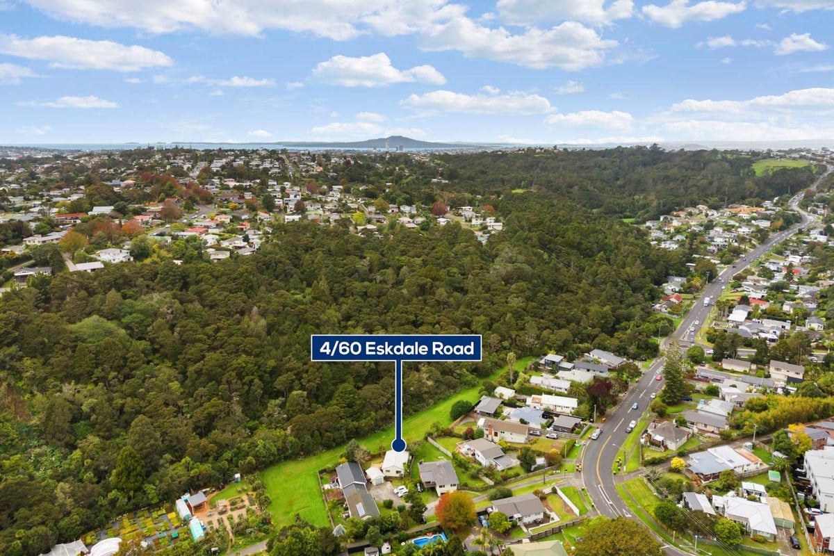 4/60 Eskdale Road, Birkdale, Auckland - Carousel 21