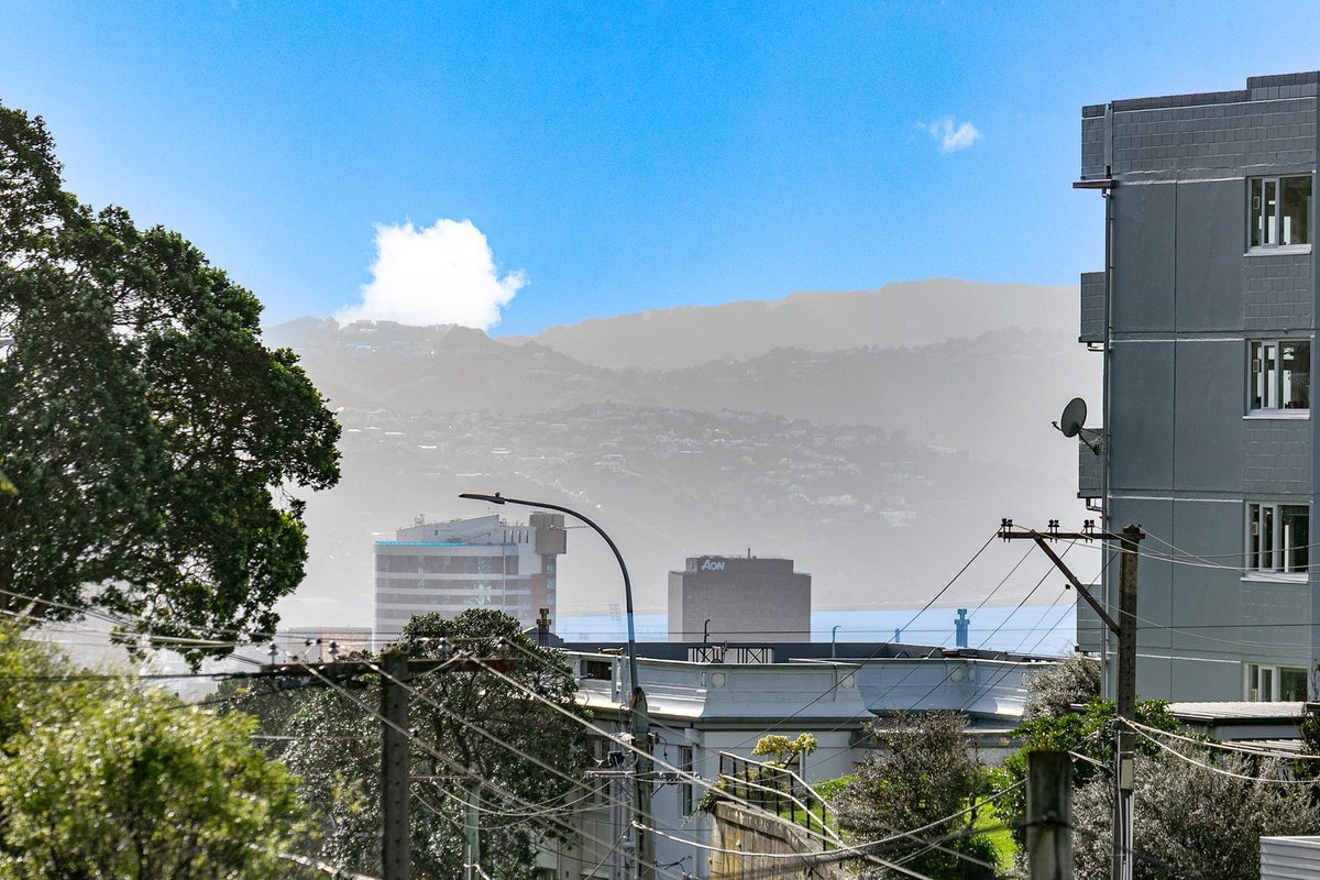 1/172 Ohiro Rd, Brooklyn, Wellington, Wellington - Carousel 2