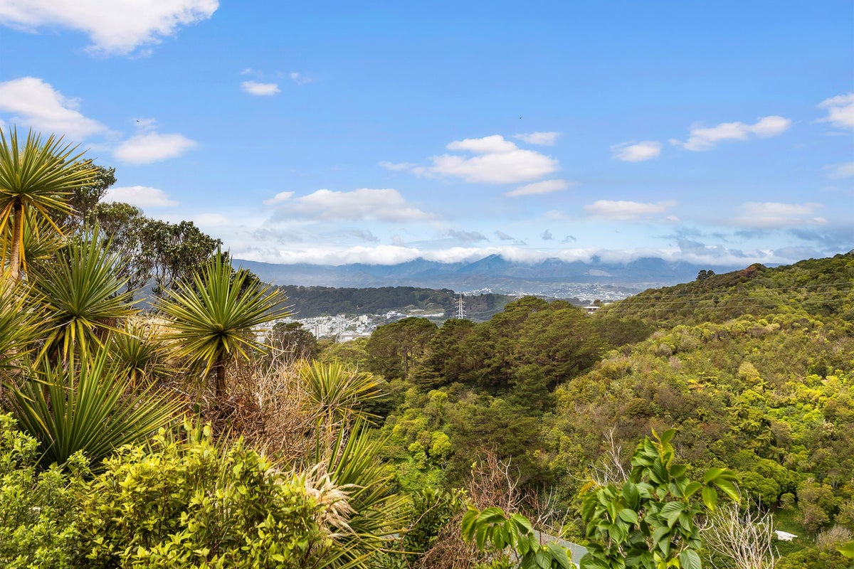 1 Koromiko Road, Aro Valley, Wellington - Carousel 2