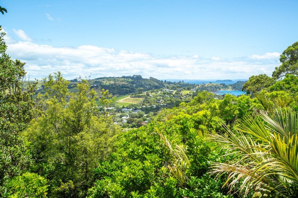 71 Trig Hill Road, Onetangi, Waiheke Island - Carousel 2