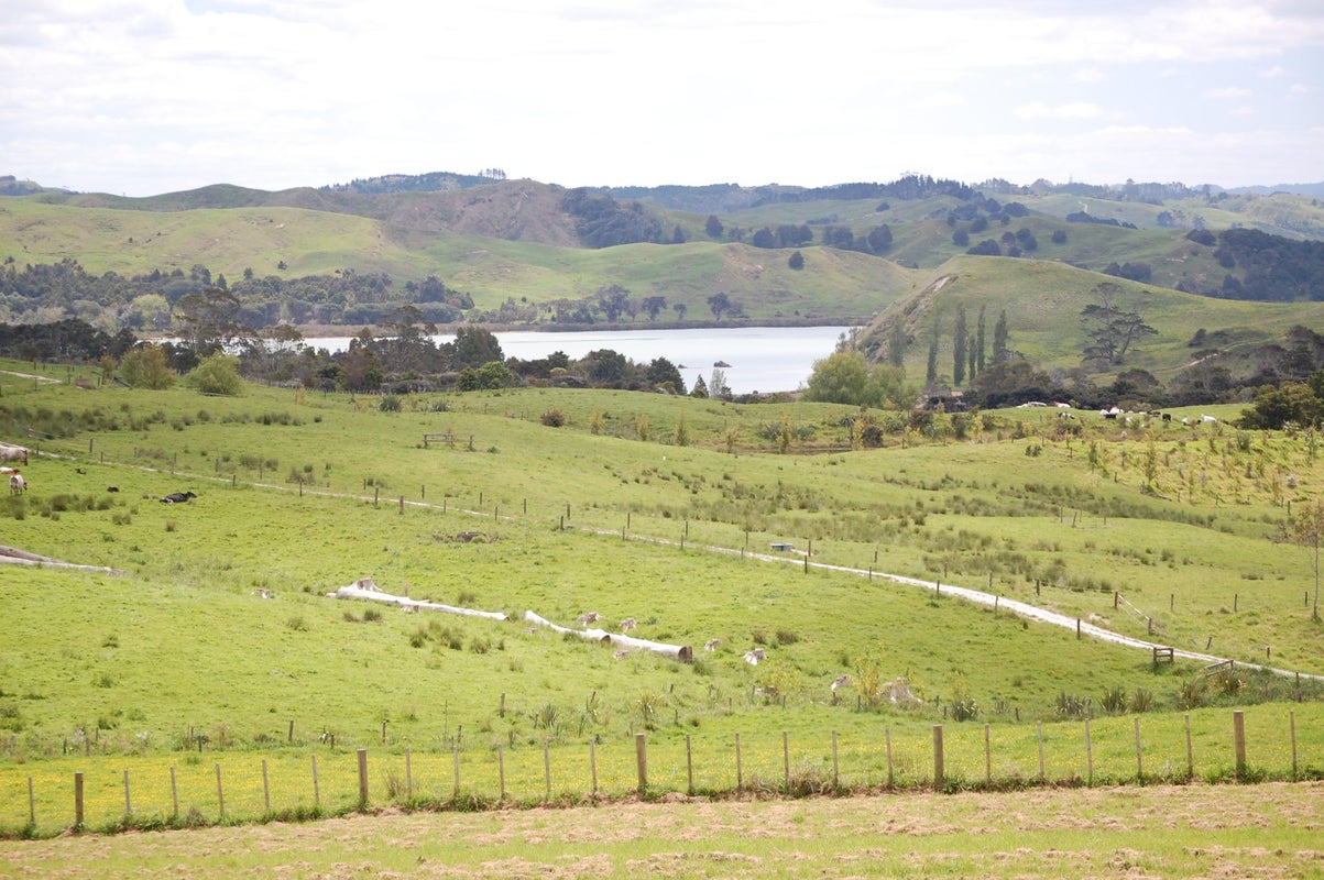 54 62 & 72 Rangiora Road, Kaiwaka, Kaipara, Northland - Carousel 1