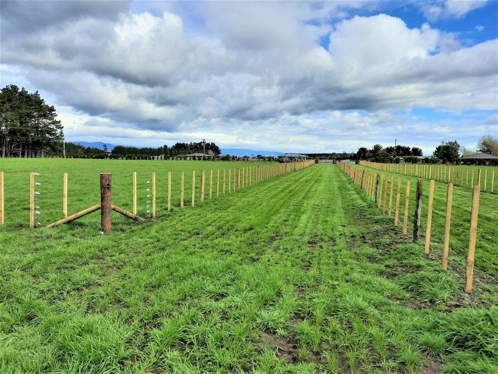 157 Motuiti Road, Foxton, Foxton - Carousel 1