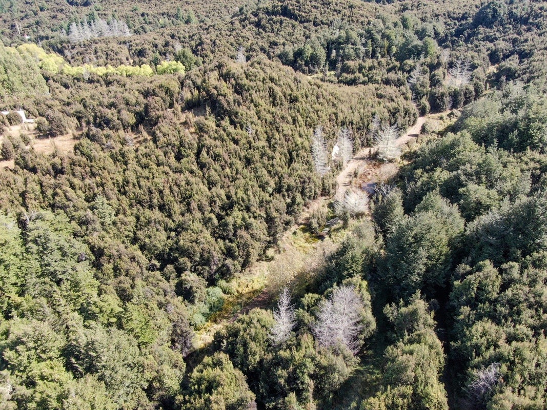 227 Mount Lyford Forest Drive, Lyford, Waiau - Carousel 24