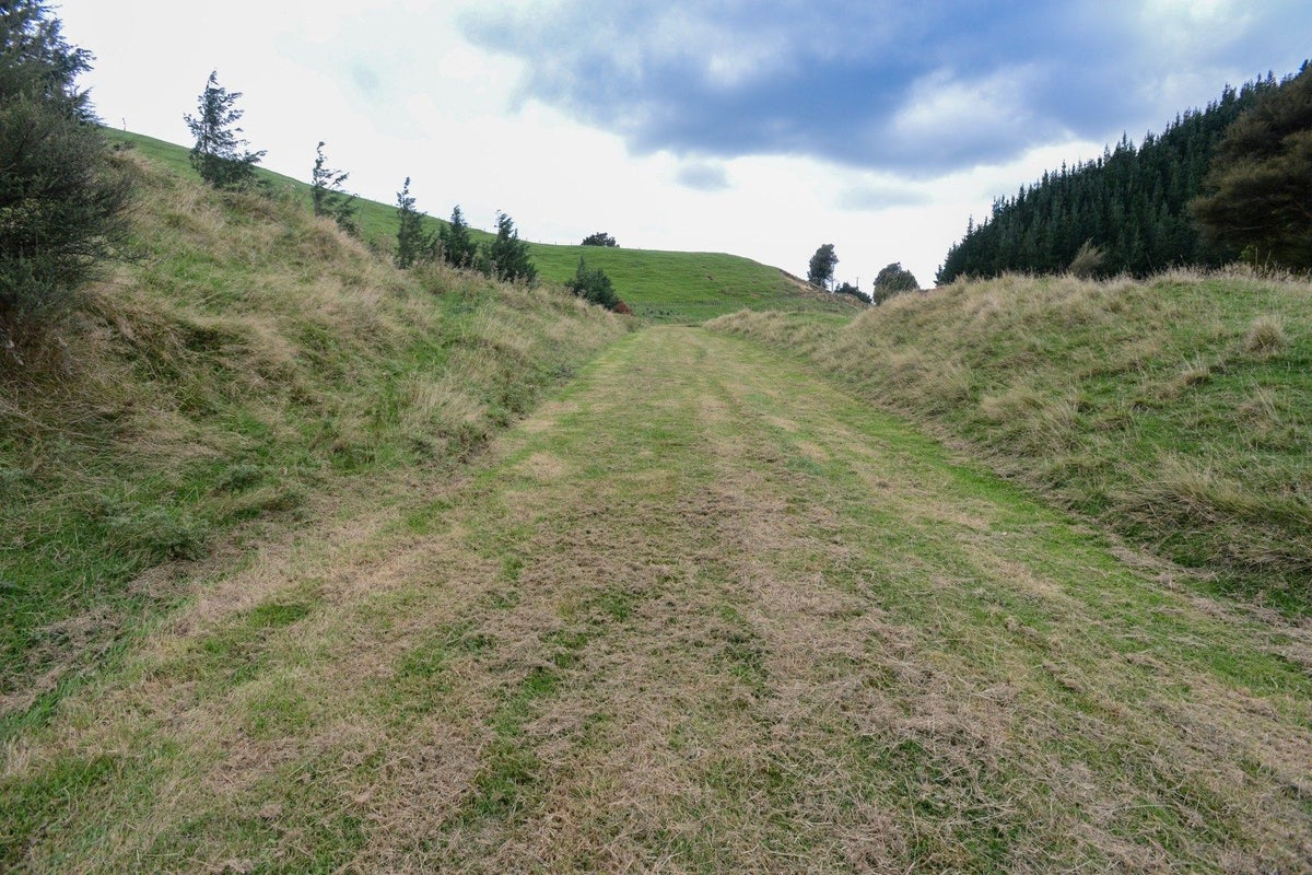 989 Ohurakura Road, Te Pohue, Napier - Carousel 20