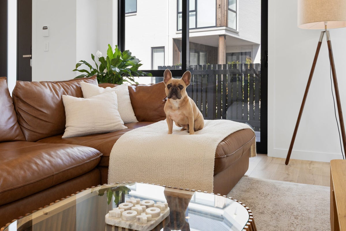 39C Podgora Avenue, Kumeu - Carousel 2
