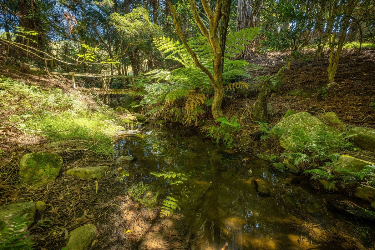 236 Willoughby Road, Tahawai, Katikati - Carousel 42
