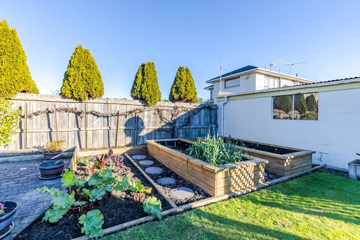 1 Onslow Street, Saint Kilda, Dunedin - Carousel 21