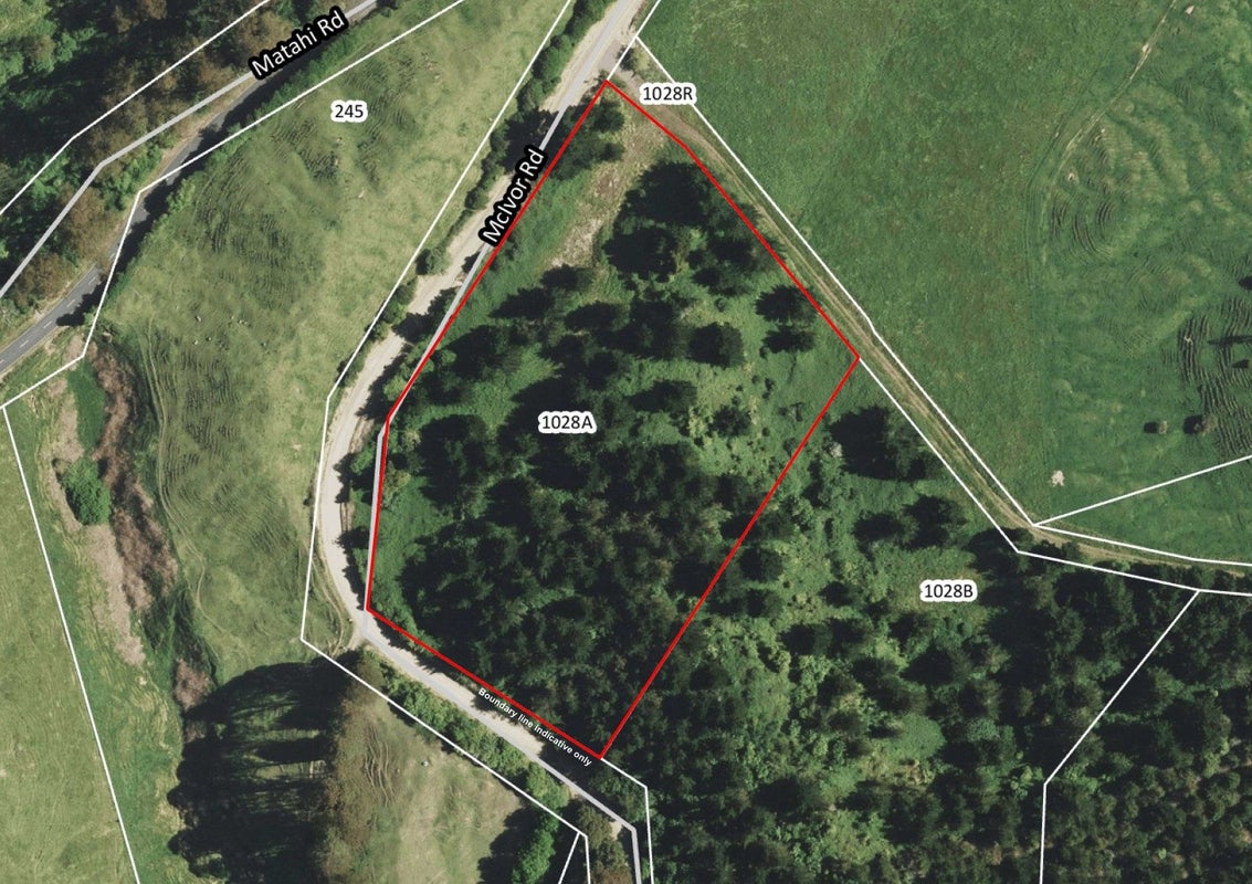 1028C Mcivor Road, Rotoma, Whakatane - Carousel 2