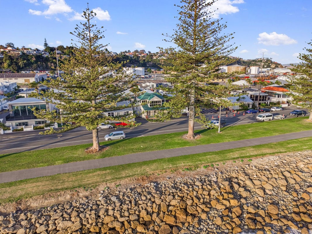 45 Hardinge Road, Ahuriri, Napier - Carousel 2