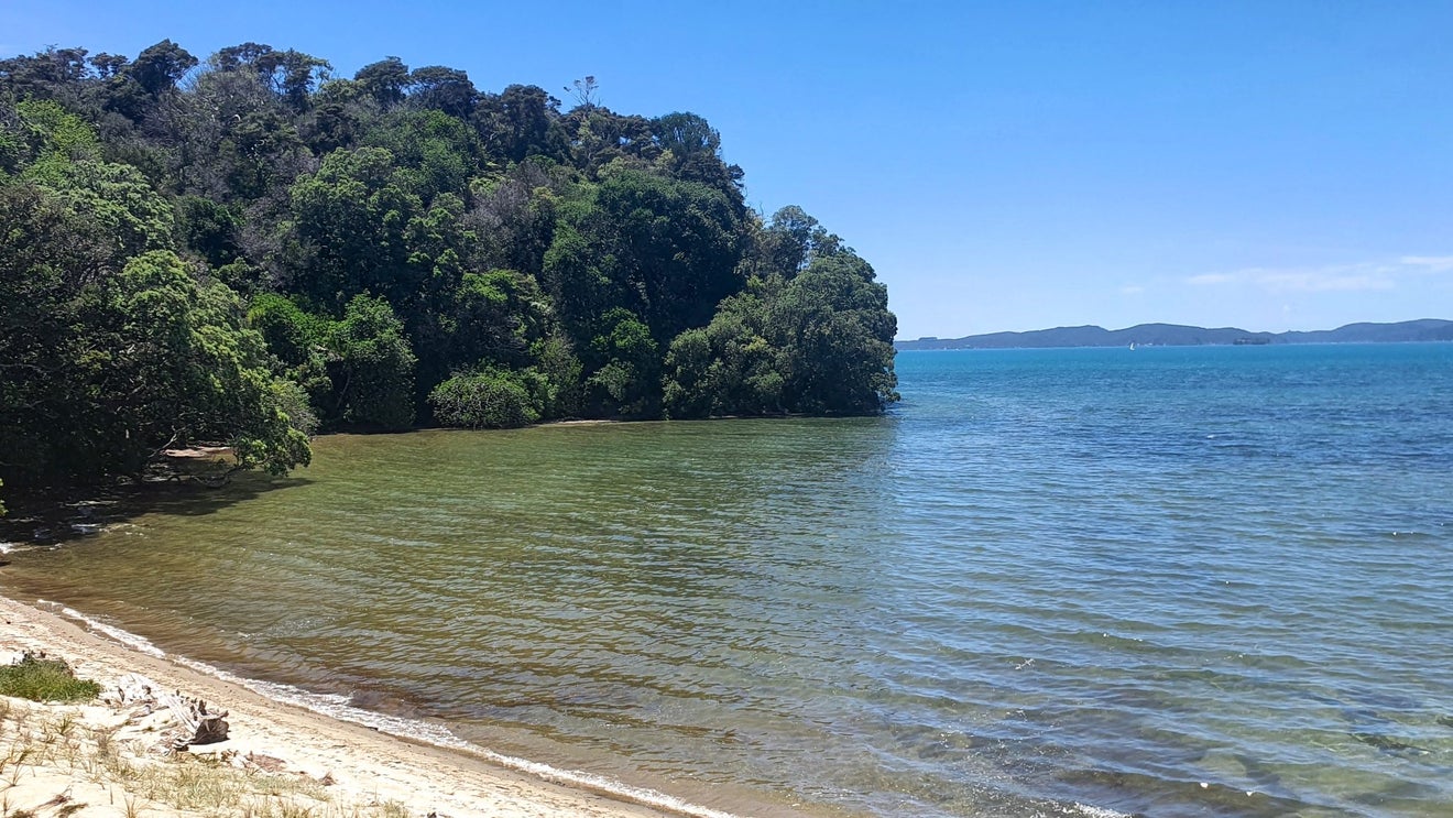 13 Boathouse Bay Lane, Snells Beach, Snells Beach - Carousel 26