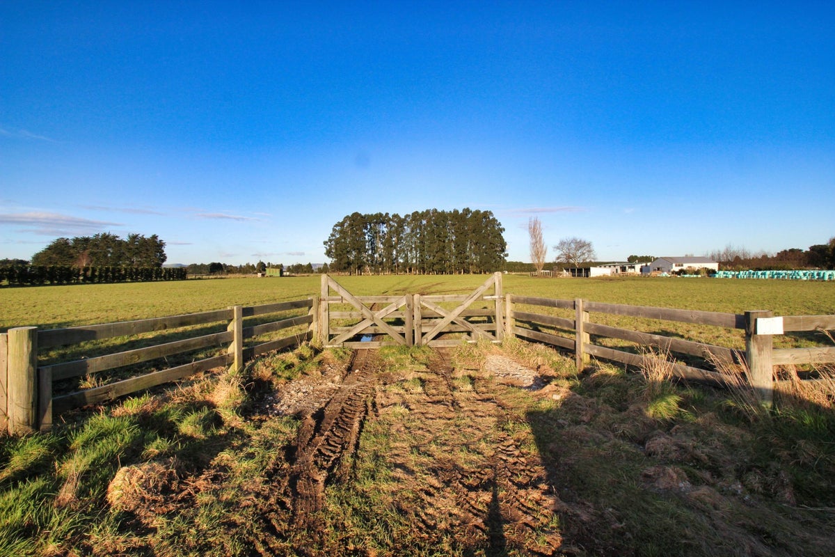 101 George Street, Edendale, Edendale - Carousel 2