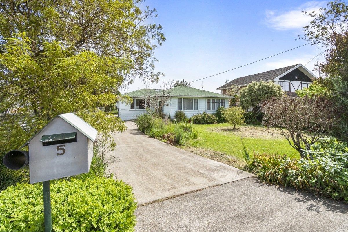 5 Hammond Street, Bulls, Bulls - Carousel 17