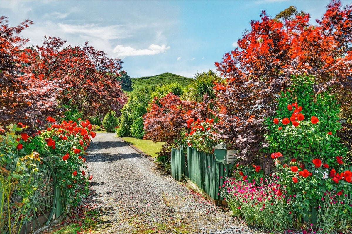 477 State Highway 41, Manunui, Taumarunui - Carousel 21