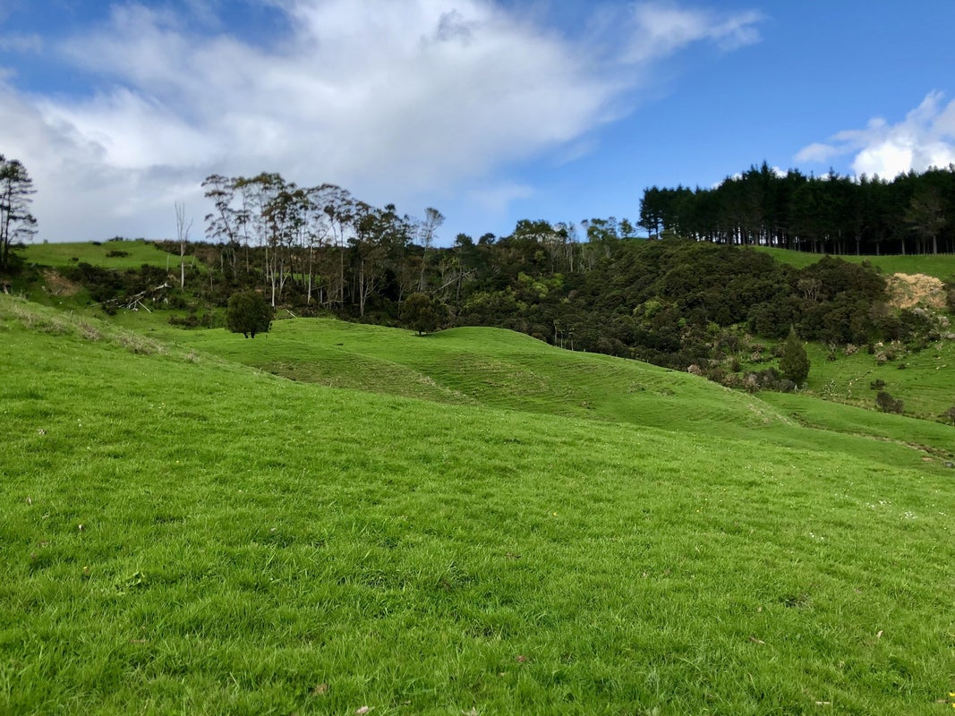 450 Burnside Road, Kaukapakapa - Carousel 30