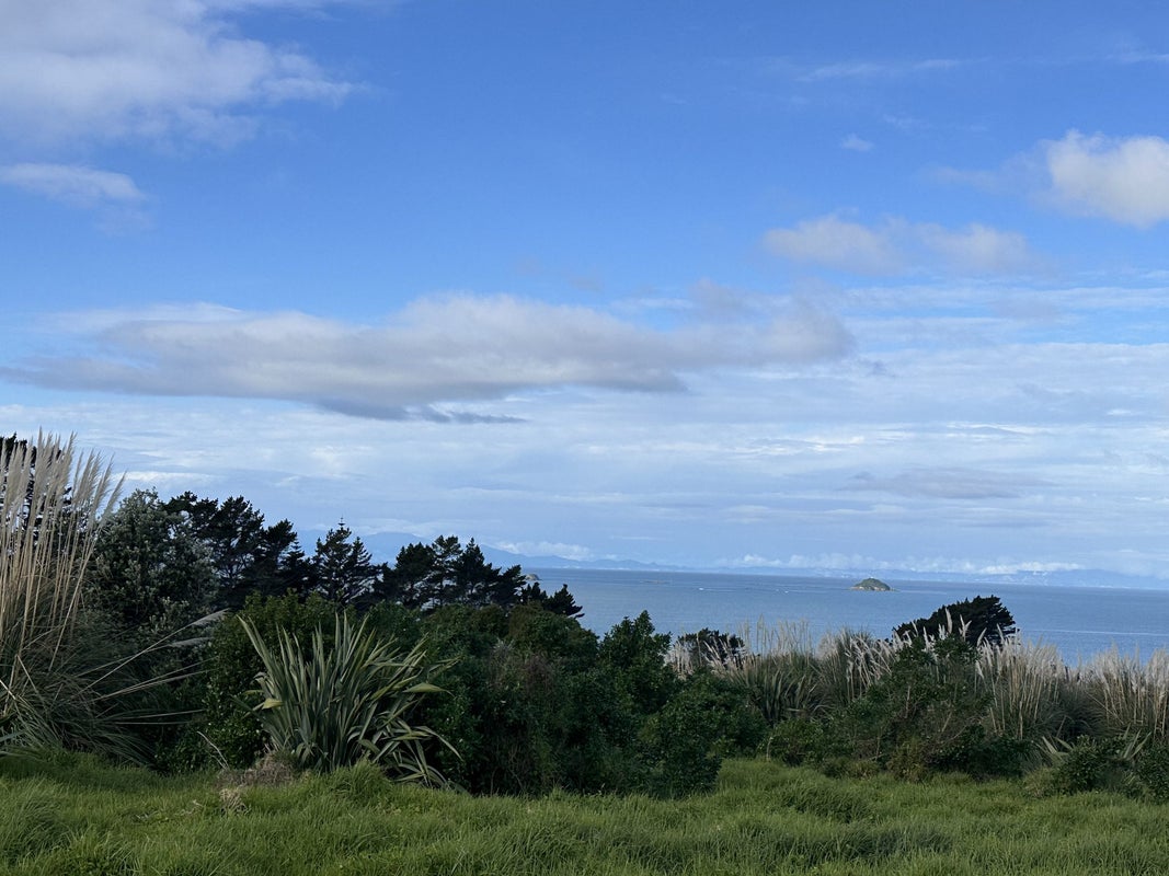 5 Pacific Parade, Coastlands, Whakatane - Carousel 18