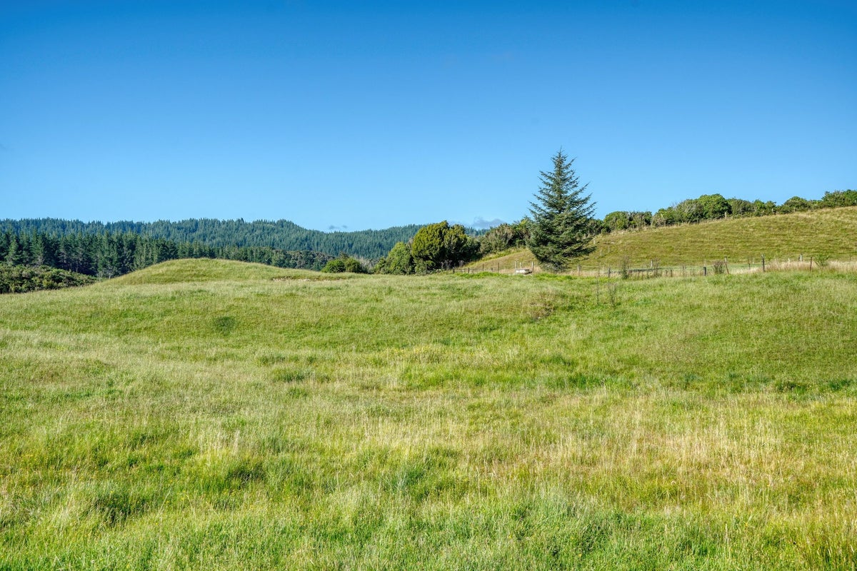 0 Lake Kaniere Rd, Hokitika - Carousel 1