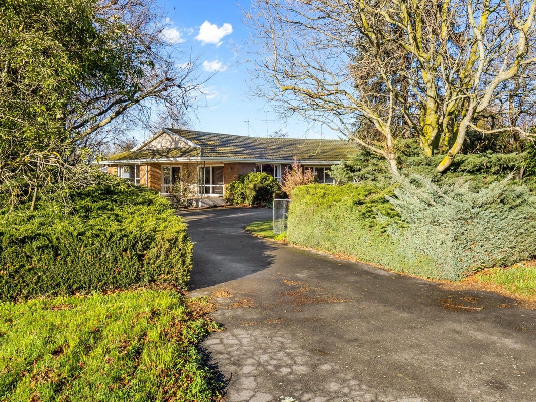55 Peters Street, Hinds, Ashburton - Carousel 34