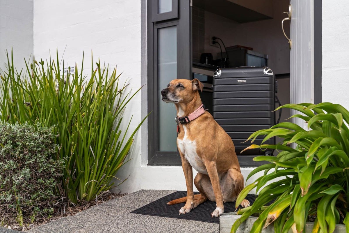 2/36 Kaipatiki Road, Glenfield, Auckland - Carousel 19