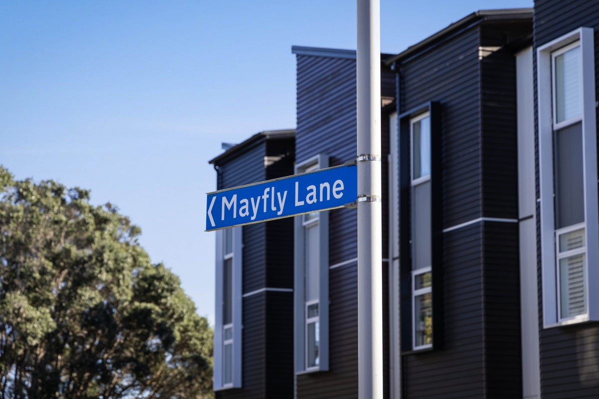 6 Mayfly Lane, Hobsonville, Auckland - Carousel 2