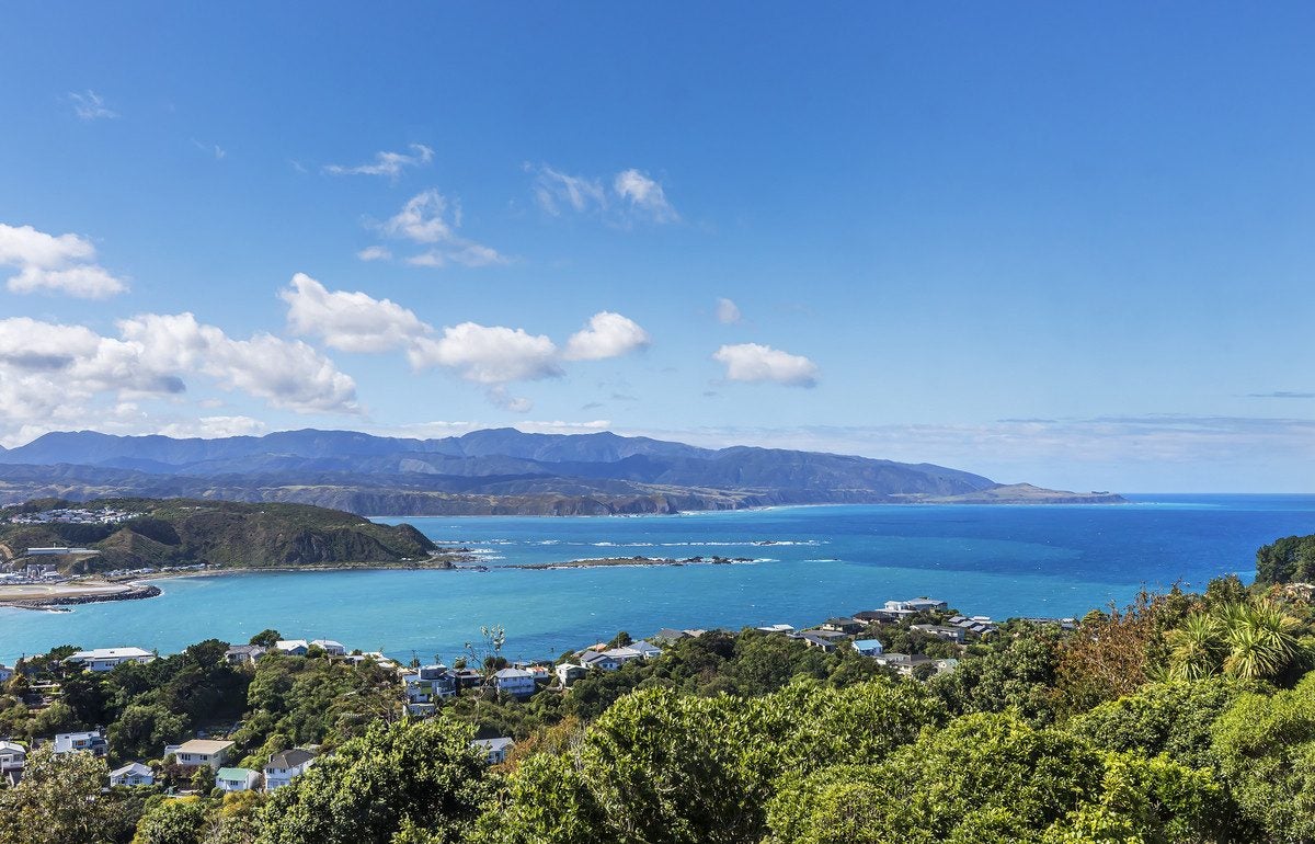 65 Buckley Road, Southgate, Wellington - Carousel 2