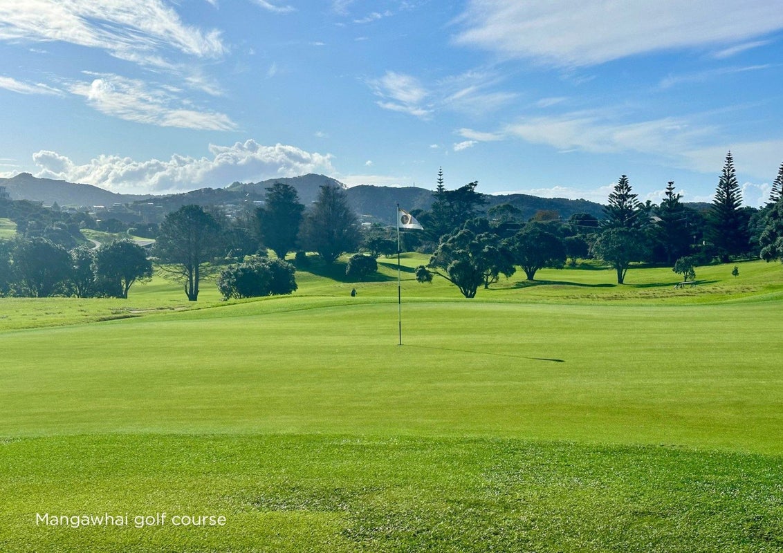 39 Moir Point Road, Mangawhai Heads, Mangawhai - Carousel 31