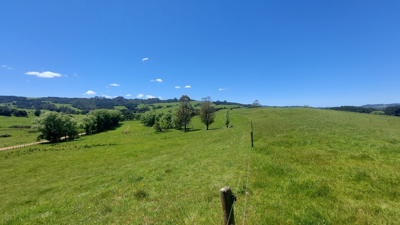 0 Hukerenui Road, Hukerenui, Hikurangi - Carousel 20