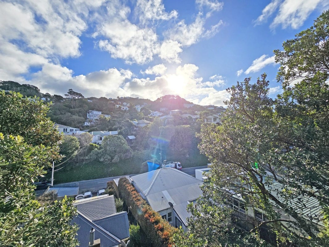 223A Ohiro Road , Brooklyn, Wellington, Wellington - Carousel 2
