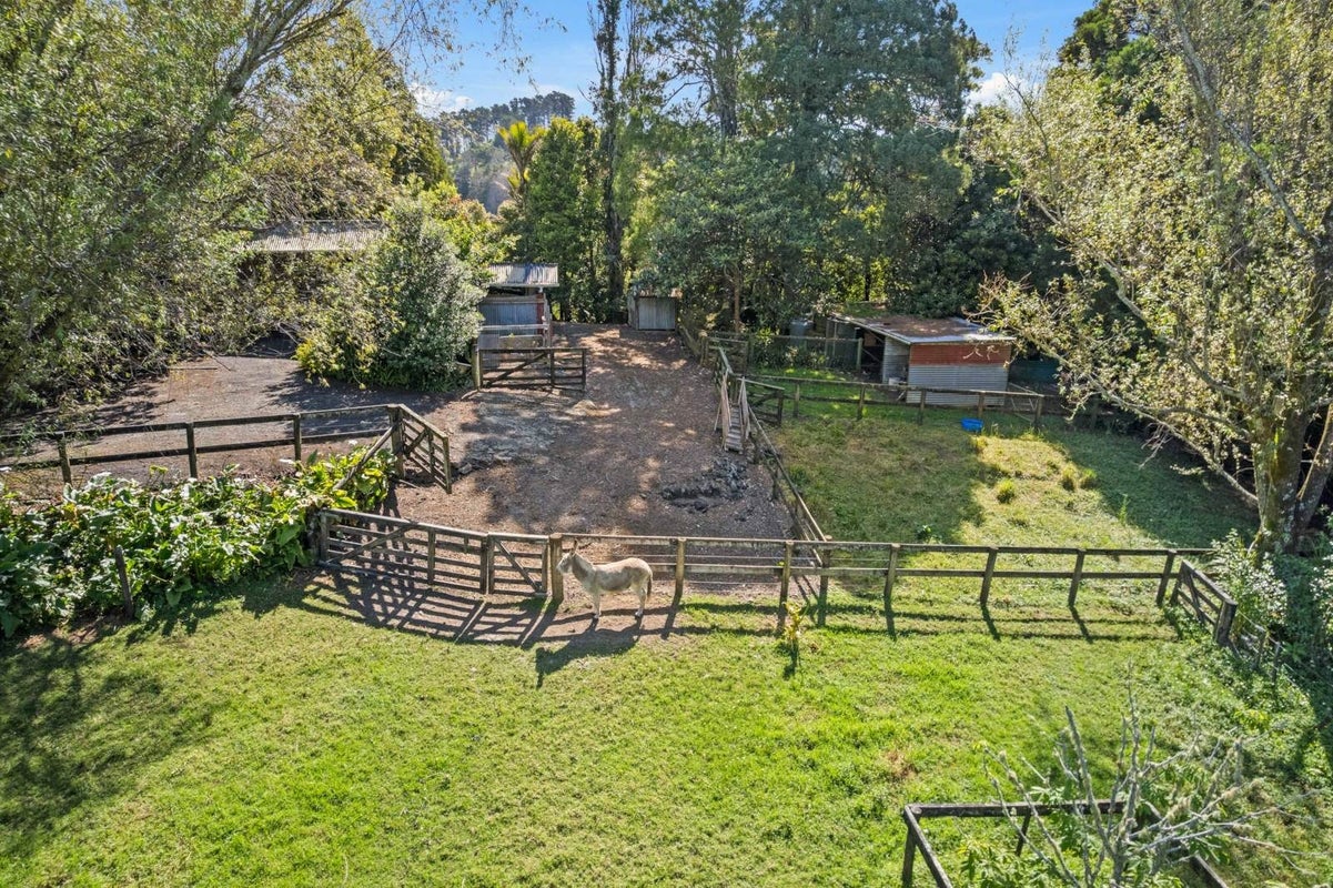 67 Gregory Road, Henderson - Carousel 22