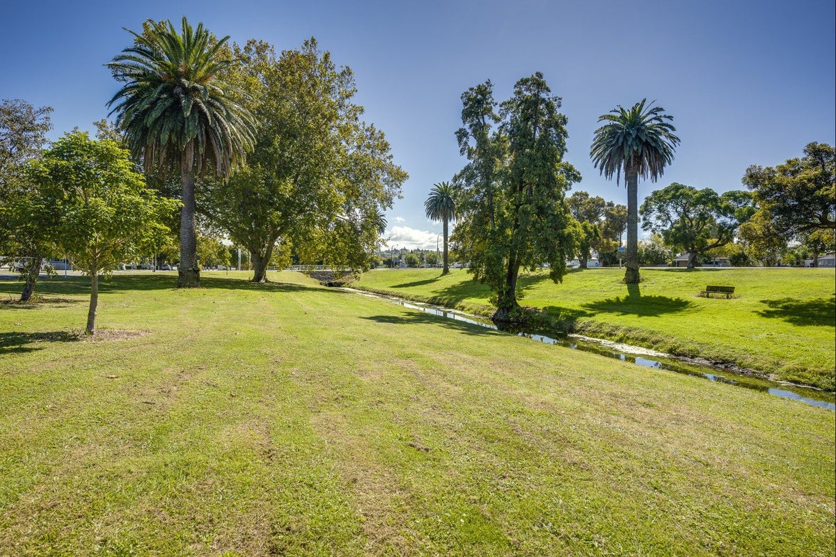 55 Douglas Mclean Avenue, Marewa, Napier - Carousel 21