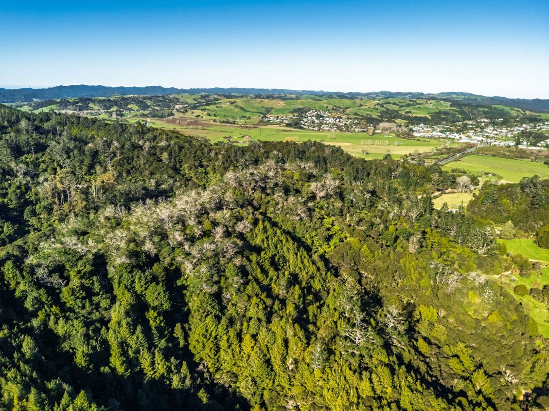 0 Whangae Road, Kawakawa, Kawakawa - Carousel 2