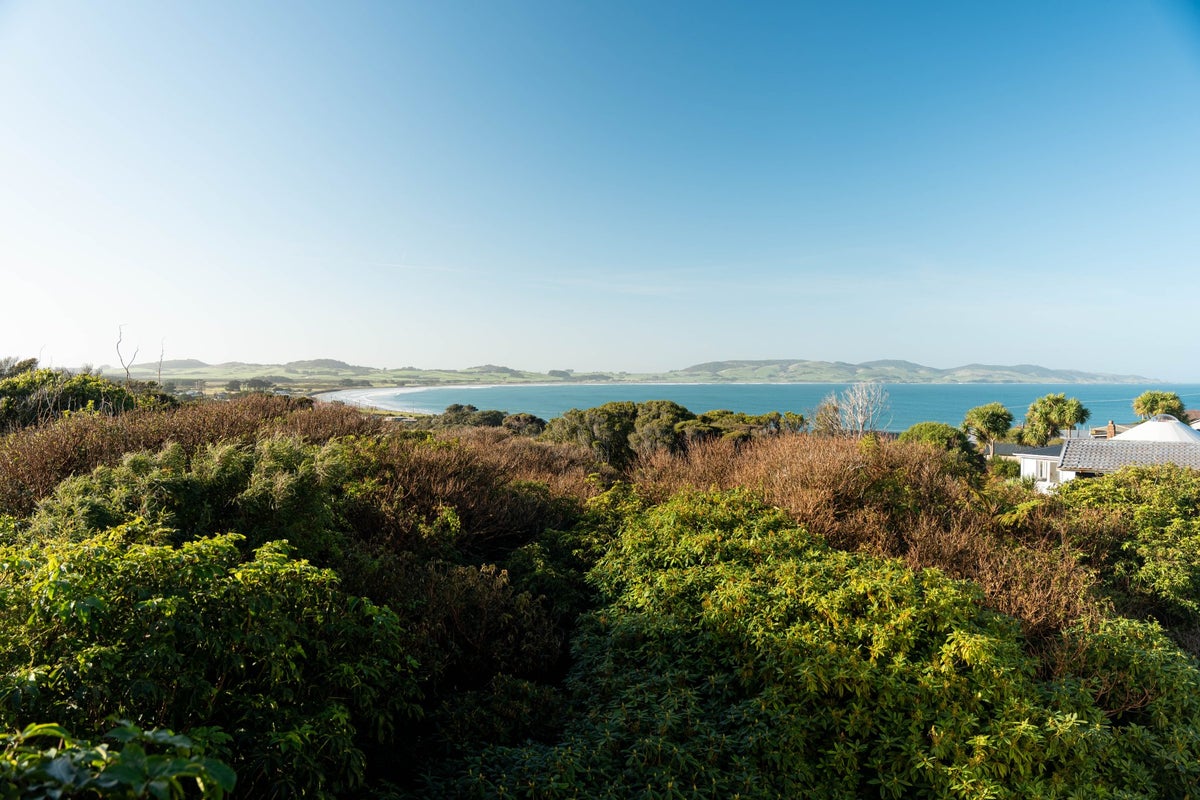 0 Hill Street, Eskdale, Napier - Carousel 36