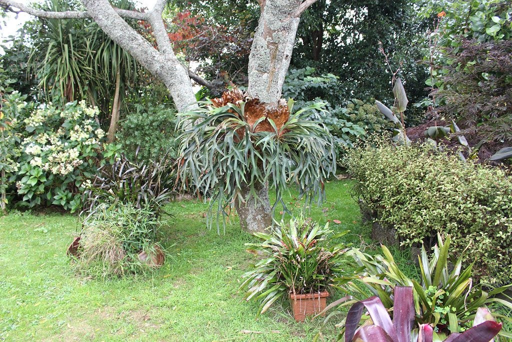 23 Woodleigh Road, Naike, Huntly - Carousel 2